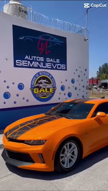 Auto Lavado Y Detallado Automotriz “gale”